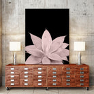 Blush Agave on Black #1 #tropical #decor #art by Anita & Bella Jantz on GIANT ART - pink photo illustration
