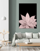 Blush Agave on Black #1 #tropical #decor #art by Anita & Bella Jantz on GIANT ART - pink photo illustration