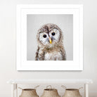 Baby Owl - Colorful by Gal Pittel on GIANT ART - brown digital painting