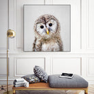Baby Owl - Colorful by Gal Pittel on GIANT ART - brown digital painting