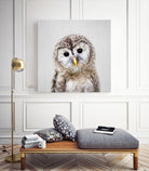 Baby Owl - Colorful by Gal Pittel on GIANT ART - brown digital painting