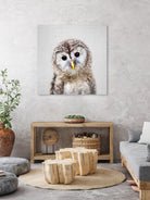 Baby Owl - Colorful by Gal Pittel on GIANT ART - brown digital painting