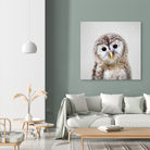 Baby Owl - Colorful by Gal Pittel on GIANT ART - brown digital painting