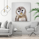 Baby Owl - Colorful by Gal Pittel on GIANT ART - brown digital painting