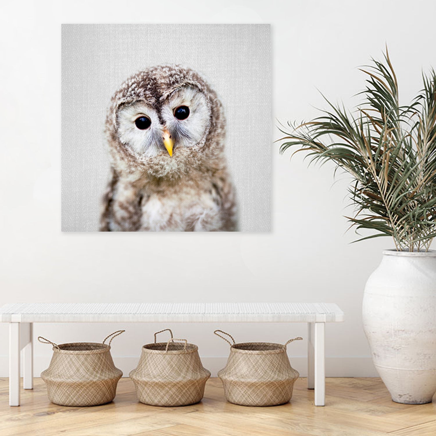 Baby Owl - Colorful by Gal Pittel on GIANT ART - brown digital painting