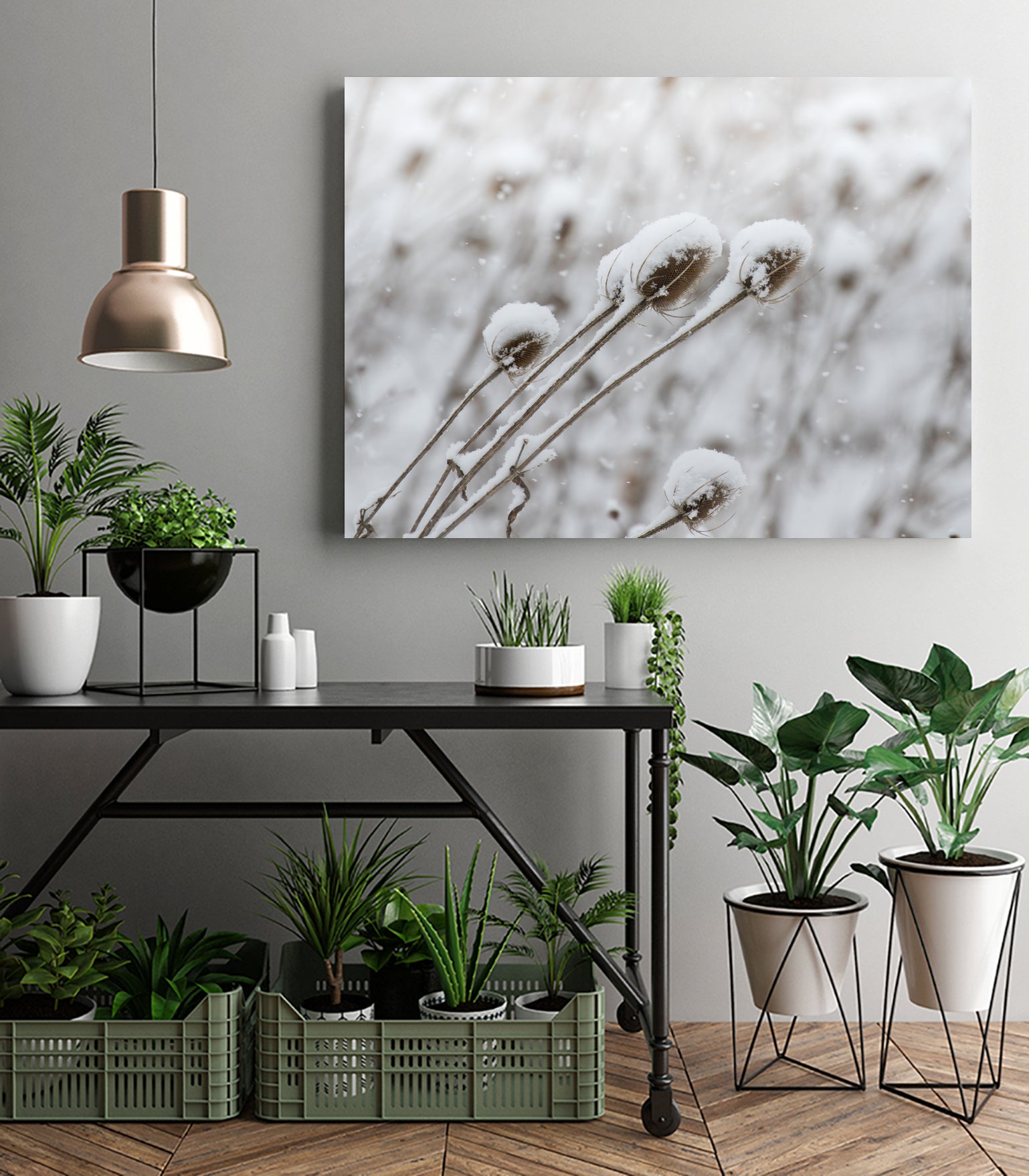 Snow on Thistle by Arlene Carley on GIANT ART - white photo manipulation