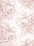 Blush Rose Peonies Dream #1 #floral #decor #art by Anita & Bella Jantz on GIANT ART - pink photo illustration