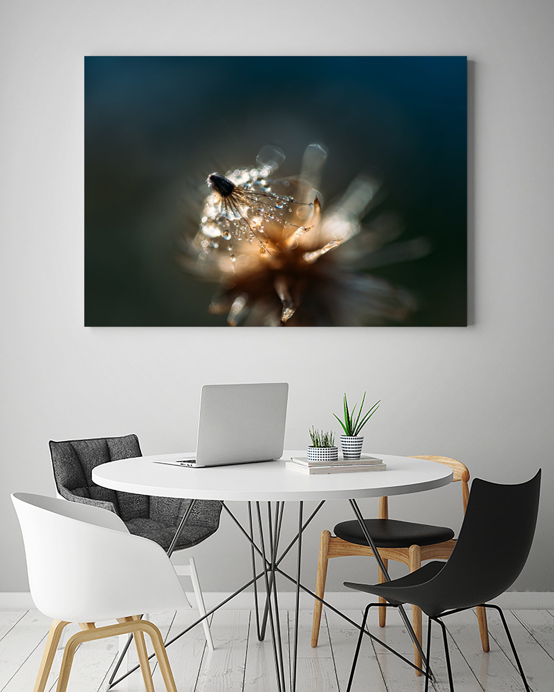 Dew drops on dandelion seed by Studio OMG on GIANT ART - brown photo illustration