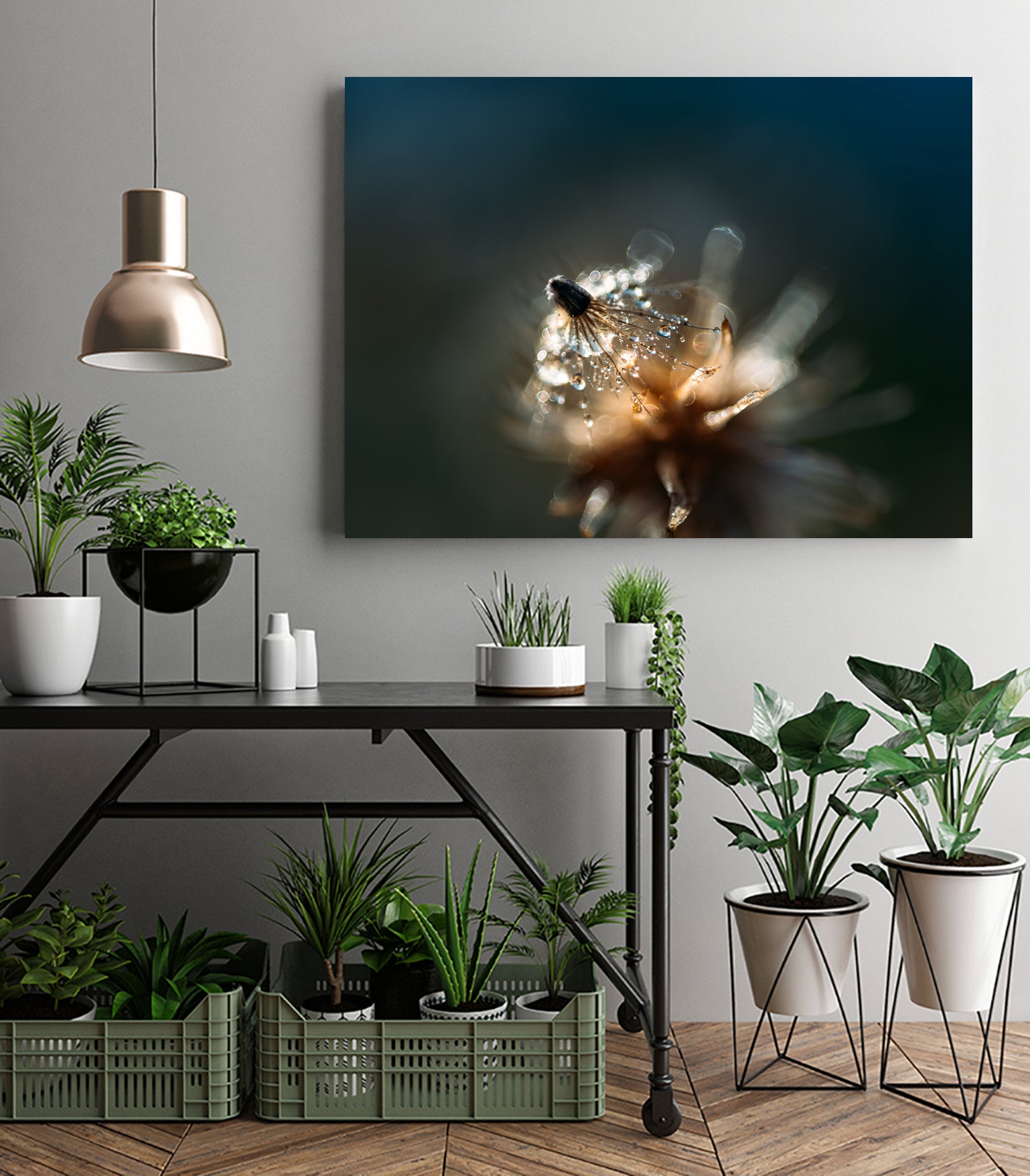 Dew drops on dandelion seed by Studio OMG on GIANT ART - brown photo illustration