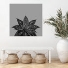 Gray Black Agave with Black Silver Glitter #3 #shiny by Anita & Bella Jantz on GIANT ART - gray photo illustration