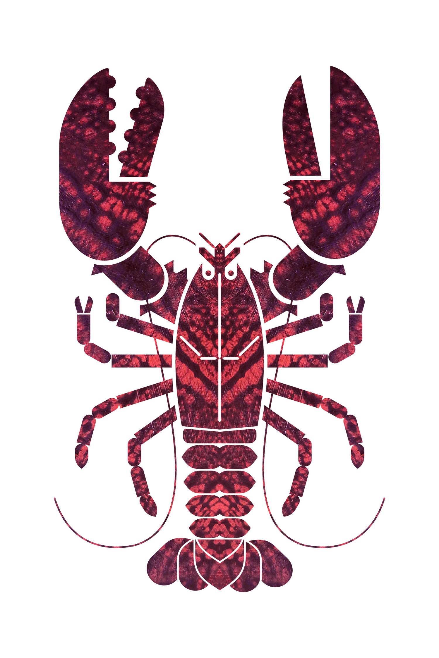 American Lobster by Scott Partridge on GIANT ART - red vector illustration