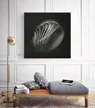 Strange Attractors Dequan Li 05 by David Ferreira on GIANT ART - gray 3d art