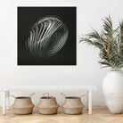 Strange Attractors Dequan Li 05 by David Ferreira on GIANT ART - gray 3d art