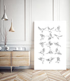 Birds by Edmund Maier on GIANT ART - white digital painting