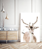 Deer I by Victoria Frost on GIANT ART - white photo manipulation