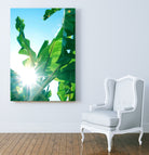 Banana Leaves Delight #1 #tropical #decor #art by Anita & Bella Jantz on GIANT ART - green photo illustration