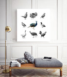 Bird Farm by Martina Dirce Carcano on GIANT ART - white digital painting