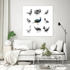 Bird Farm by Martina Dirce Carcano on GIANT ART - white digital painting