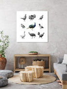 Bird Farm by Martina Dirce Carcano on GIANT ART - white digital painting