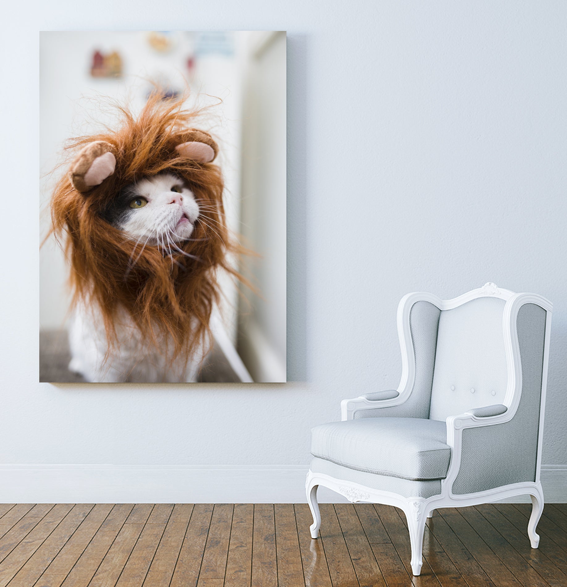Cat lion by Jovana Rikalo on GIANT ART - orange photo manipulation