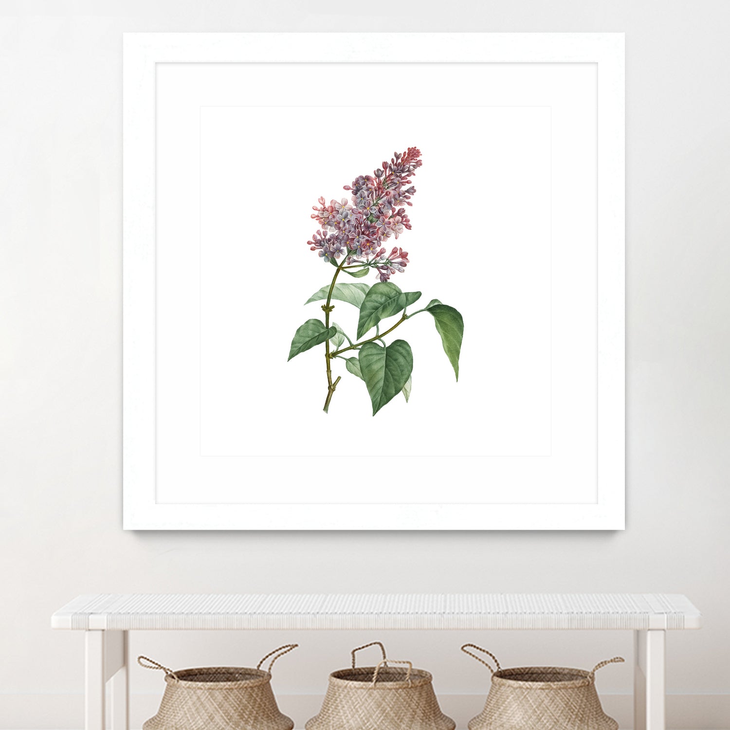 Vintage Common Pink Lilac Plant Botanical Illustratio by Raul Andre Petrasanta on GIANT ART - pink mixed media