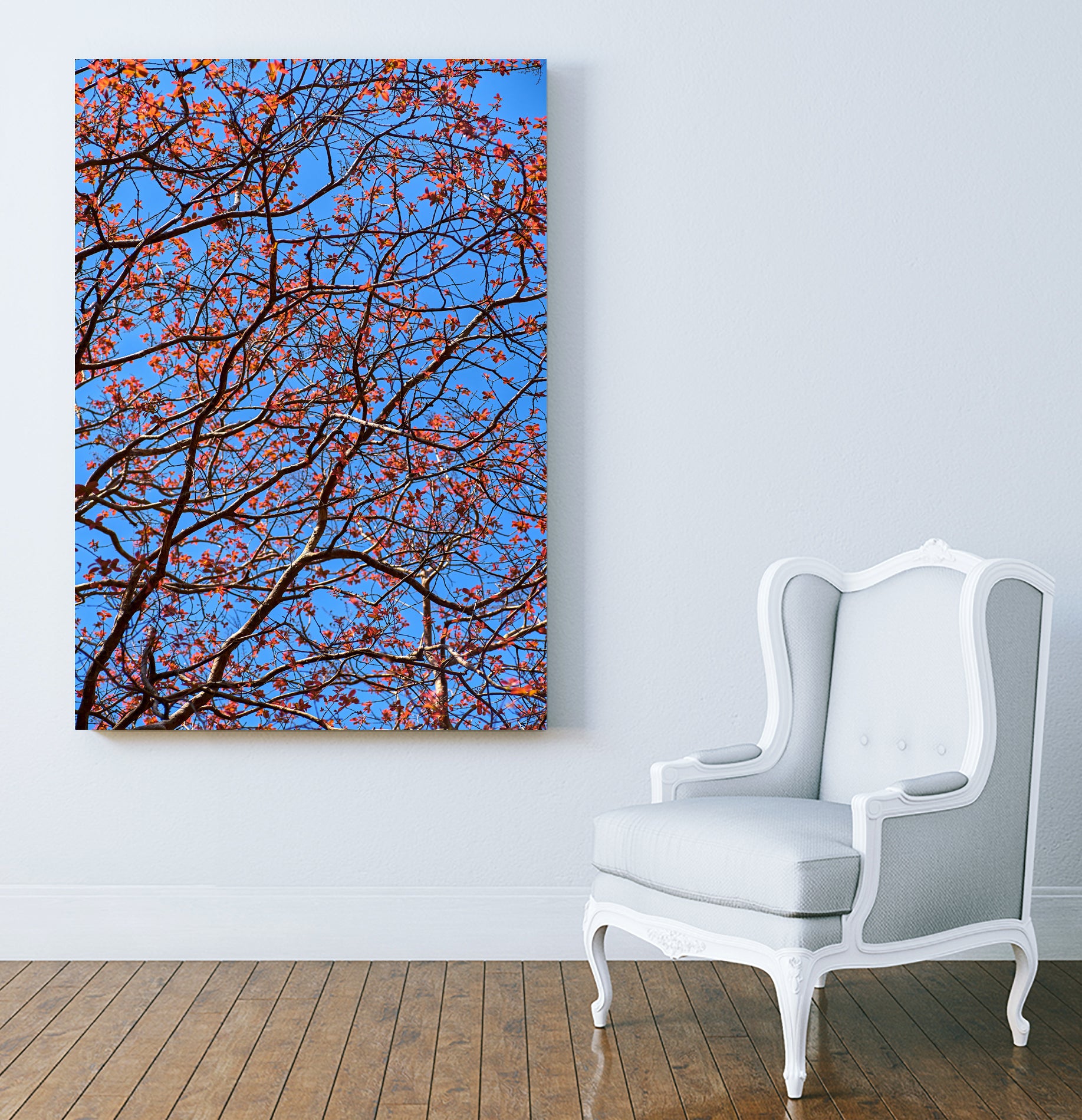 The red leaves in the early spring by Studio OMG on GIANT ART - red photo illustration