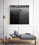 Borderline by Dariusz Klimczak on GIANT ART - photo manipulation