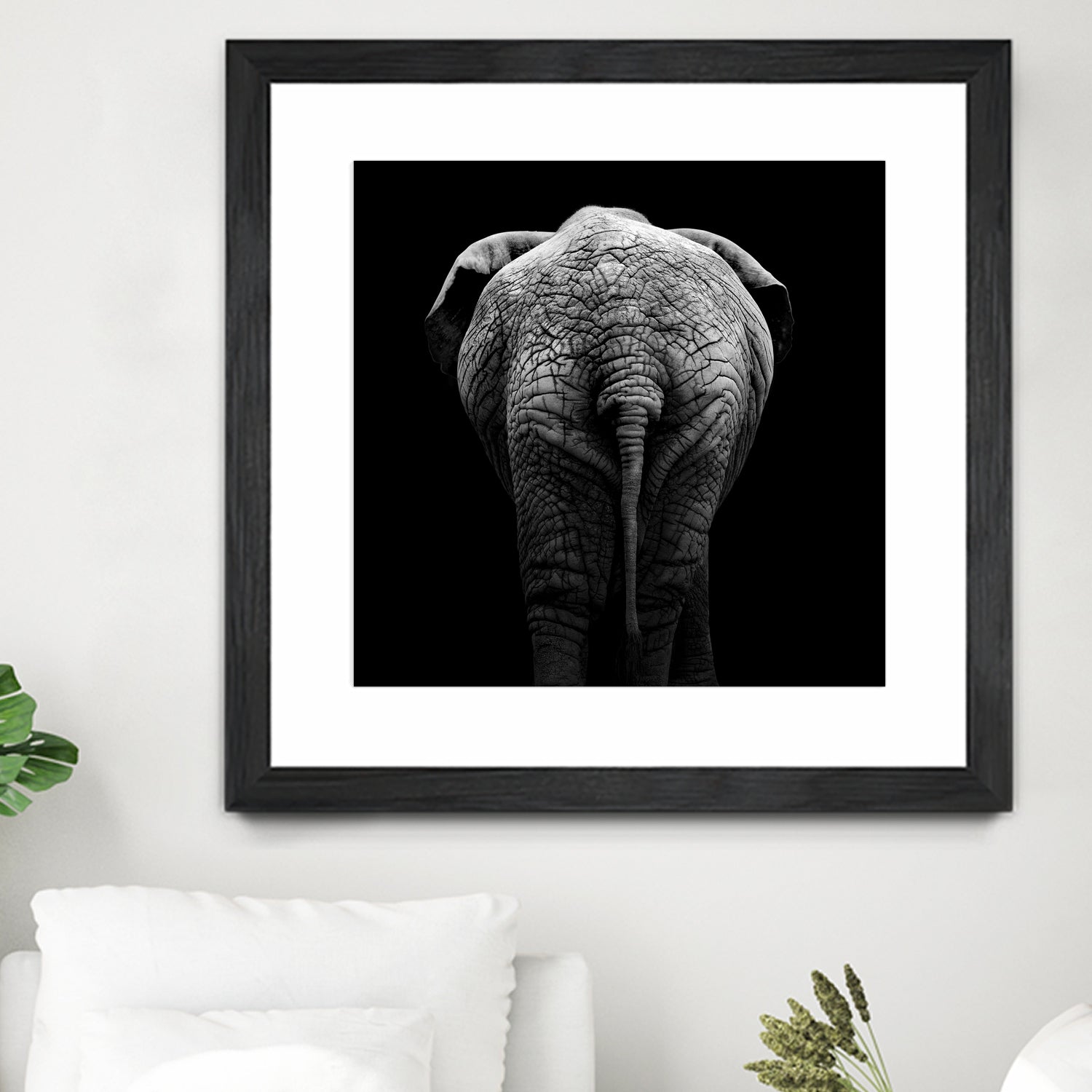 Elephant In Black And White by Lukas Holas on GIANT ART - black photo manipulation