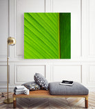 FLOWER by FREDERIC SMEETS on GIANT ART - green photo manipulation