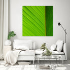 FLOWER by FREDERIC SMEETS on GIANT ART - green photo manipulation