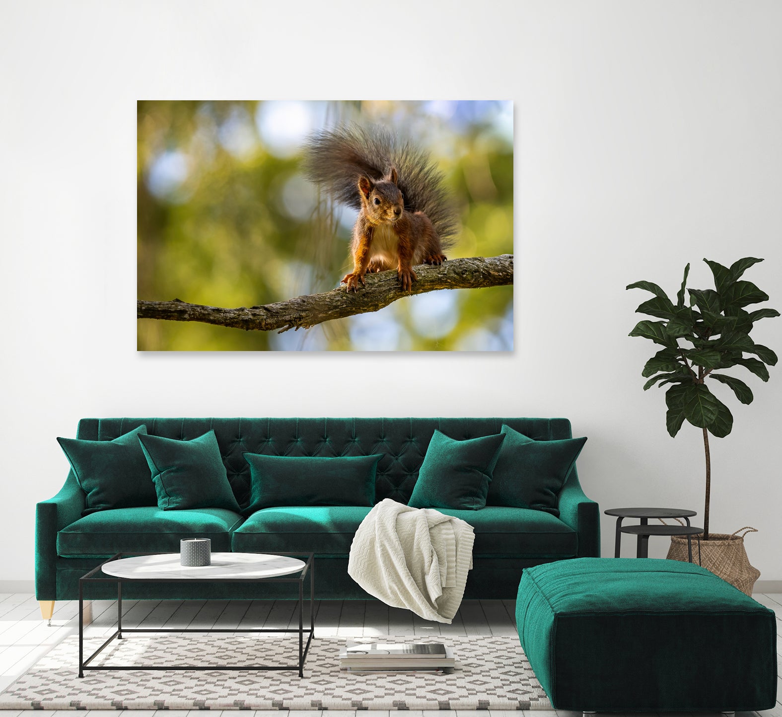 Ecureuil by NICOLAS GROFFAL on GIANT ART - brown photo illustration