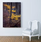 Birum River Gorge by Tim Loomis on GIANT ART - brown photo illustration