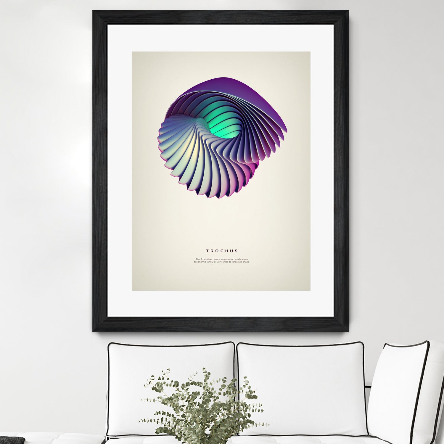 Trochus by Crtomir Just on GIANT ART - 3d art