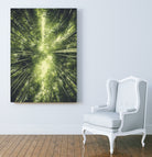 Bamboo Forest II by Pascal Deckarm on GIANT ART - green photo manipulation