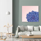 Big Echeveria Design by Brigitte Carre on GIANT ART - blue digital painting