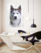 Siberian Husky by Alex Baron on GIANT ART - gray digital painting