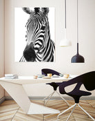 Black and White Zebra by Alessandra Minervini on GIANT ART - black digital painting