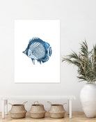 Blue Fish Illustration by Alessandra Minervini on GIANT ART - blue digital painting