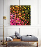 COSMO-GRAPHIA D2 by Jonathan McIntosh on GIANT ART - black vector illustration