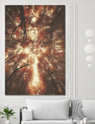 Bamboo Forest V by Pascal Deckarm on GIANT ART - orange photo manipulation