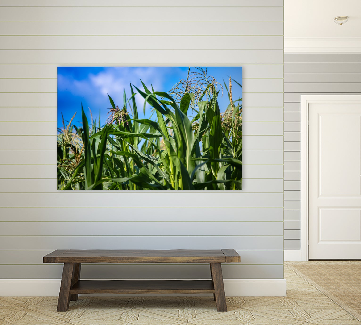 Corn Field Blue Sky Close-up by Anna Matveeva on GIANT ART - green photo illustration