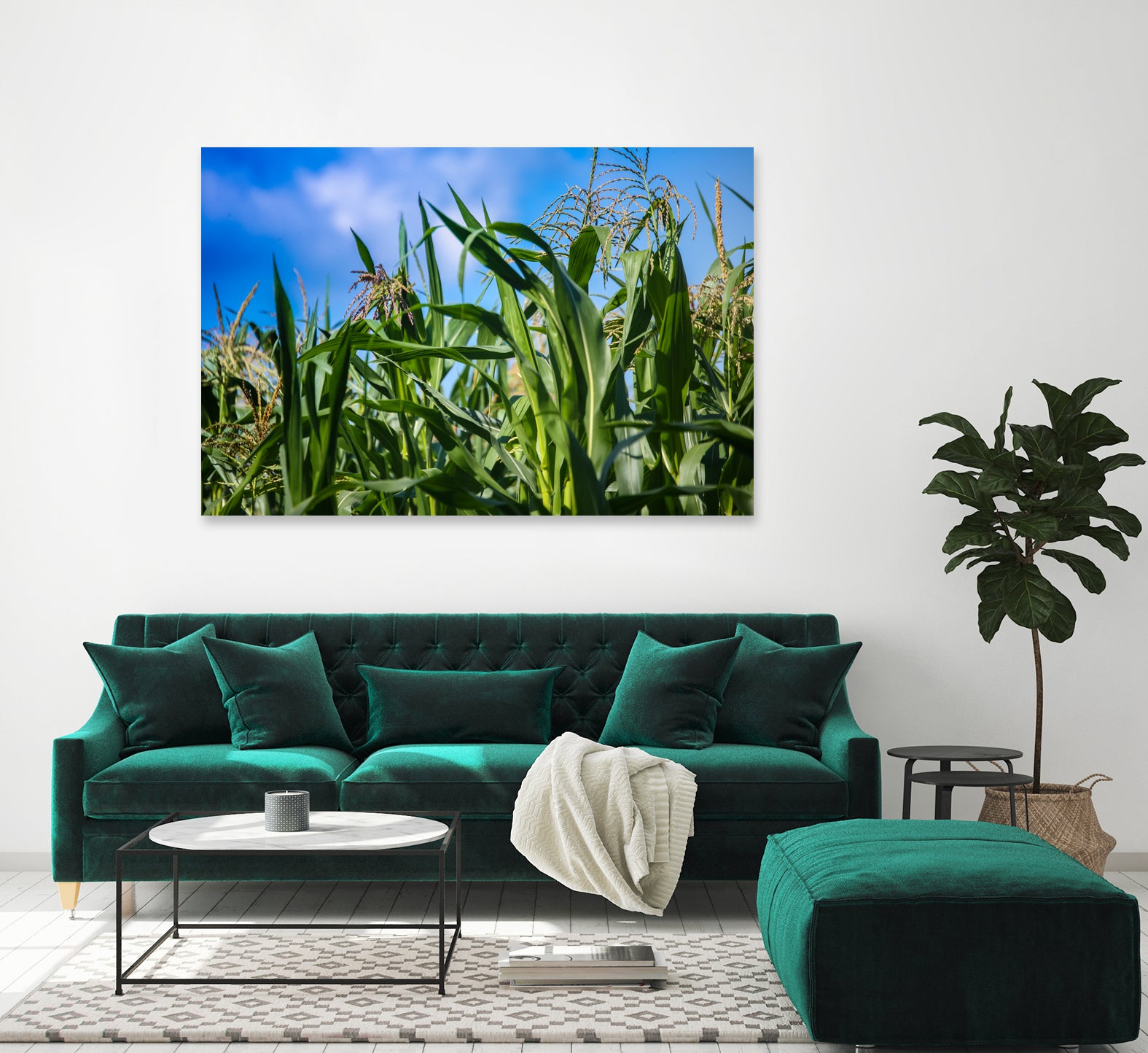 Corn Field Blue Sky Close-up by Anna Matveeva on GIANT ART - green photo illustration