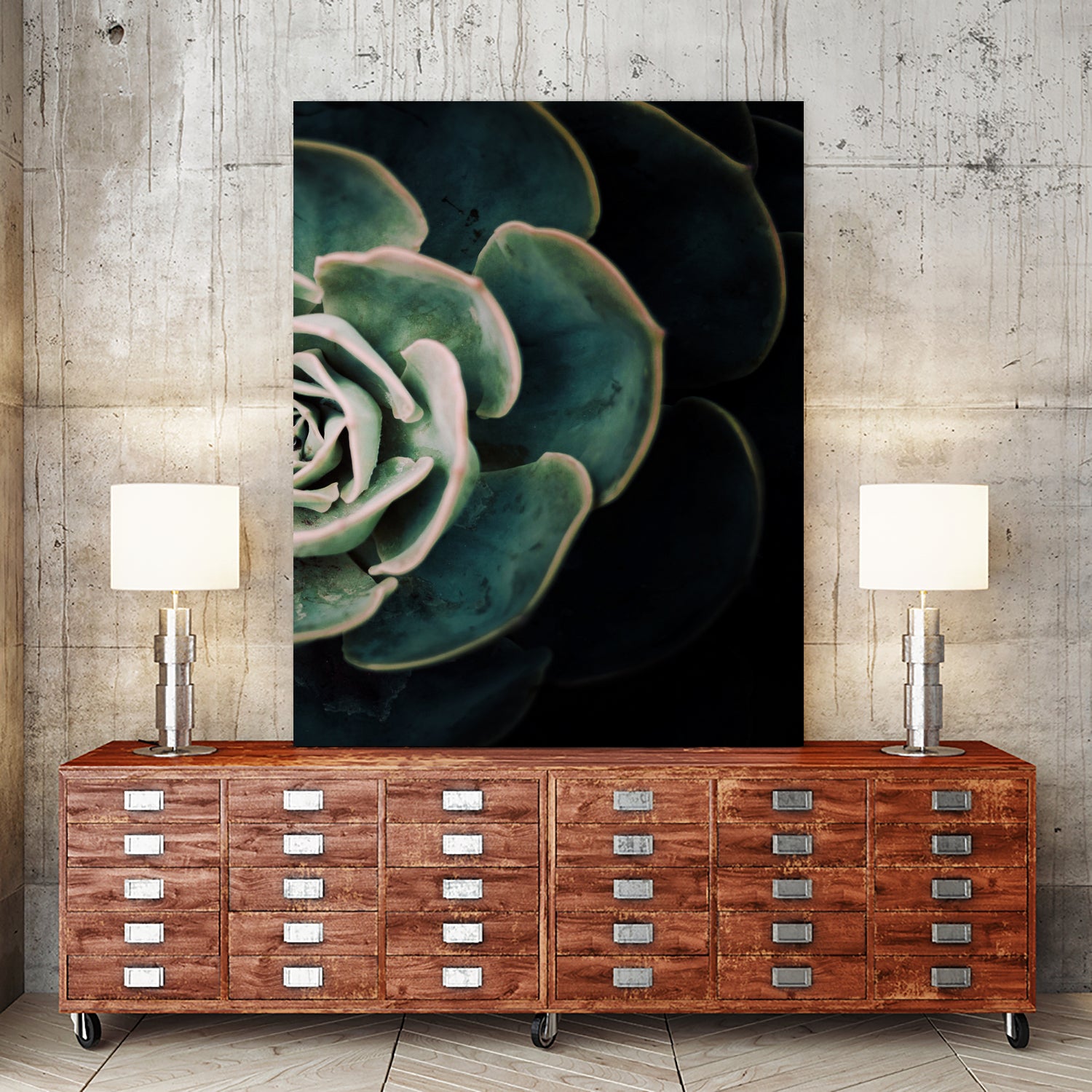 DARKSIDE OF SUCCULENTS IV-2 by Pia Schneider on GIANT ART - black photo manipulation