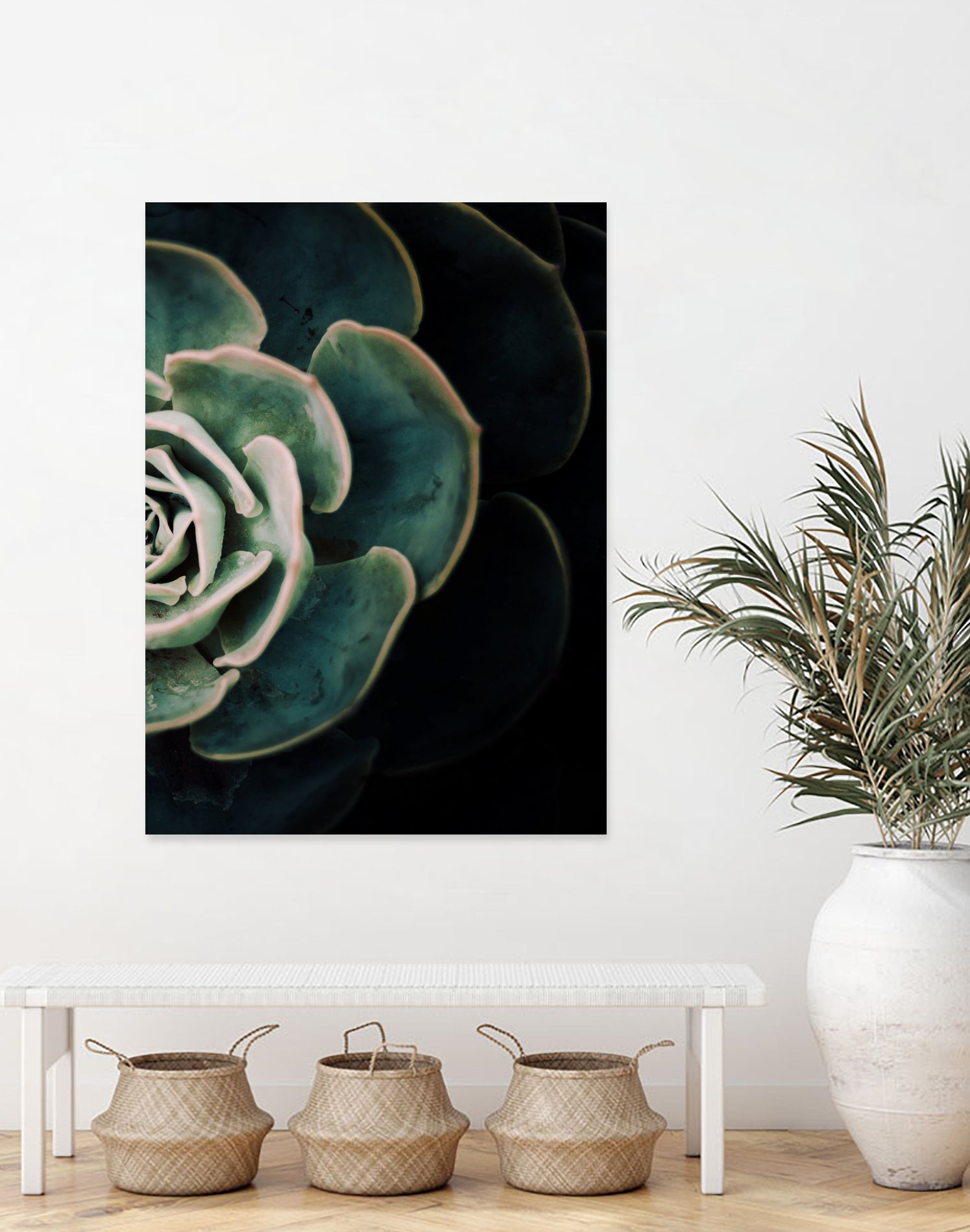 DARKSIDE OF SUCCULENTS IV-2 by Pia Schneider on GIANT ART - black photo manipulation