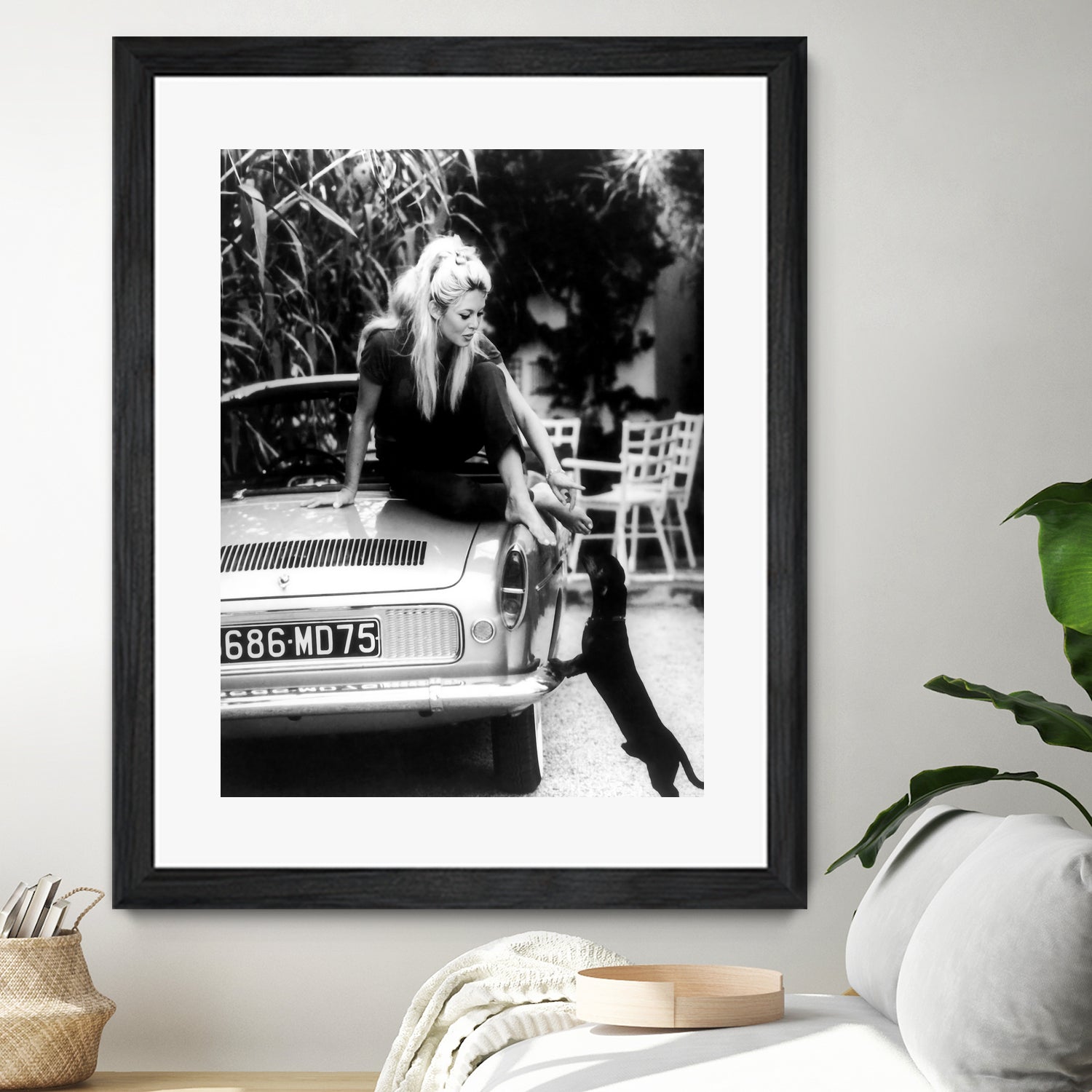 Brigitte Bardot with her dog in St. Tropez, 1962 by M Studio on GIANT ART - black and white photographie bardot