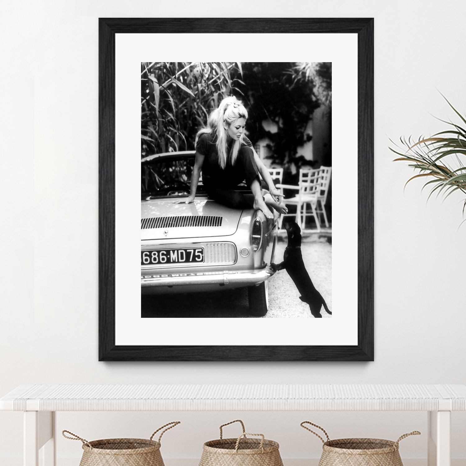 Brigitte Bardot with her dog in St. Tropez, 1962 by M Studio on GIANT ART - black and white photographie bardot