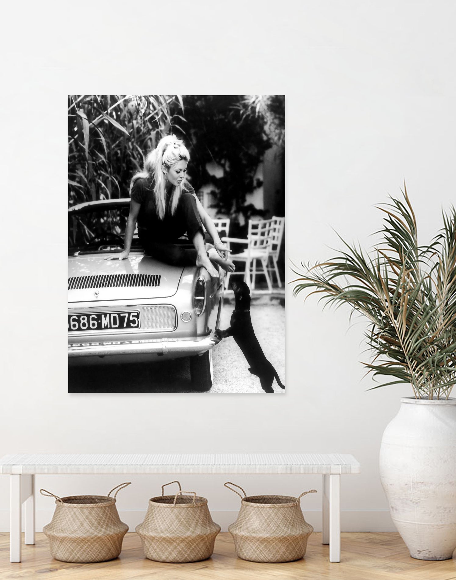 Brigitte Bardot with her dog in St. Tropez, 1962 by M Studio on GIANT ART - black and white photographie bardot