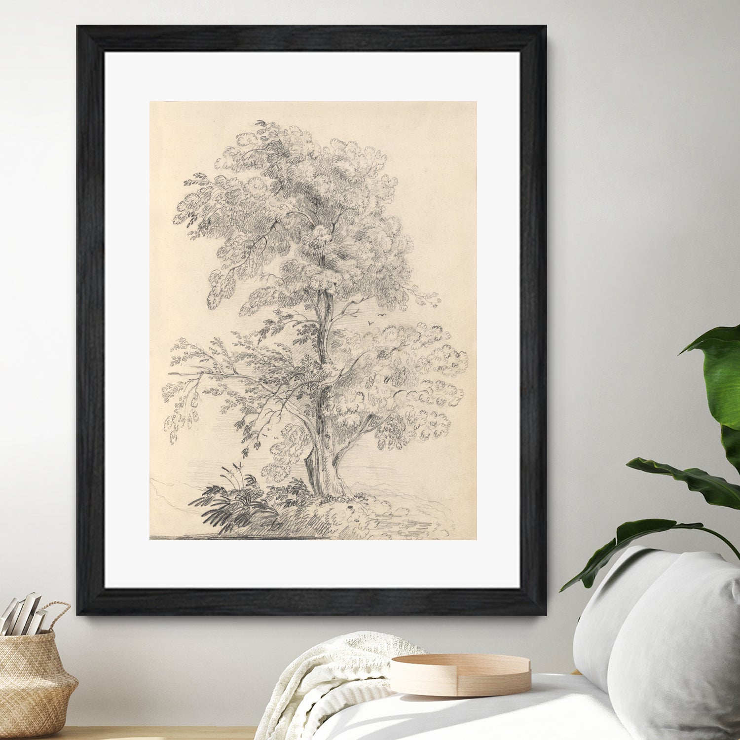 Tree Sketch by Wild Apple Portfolio on GIANT ART - abstract