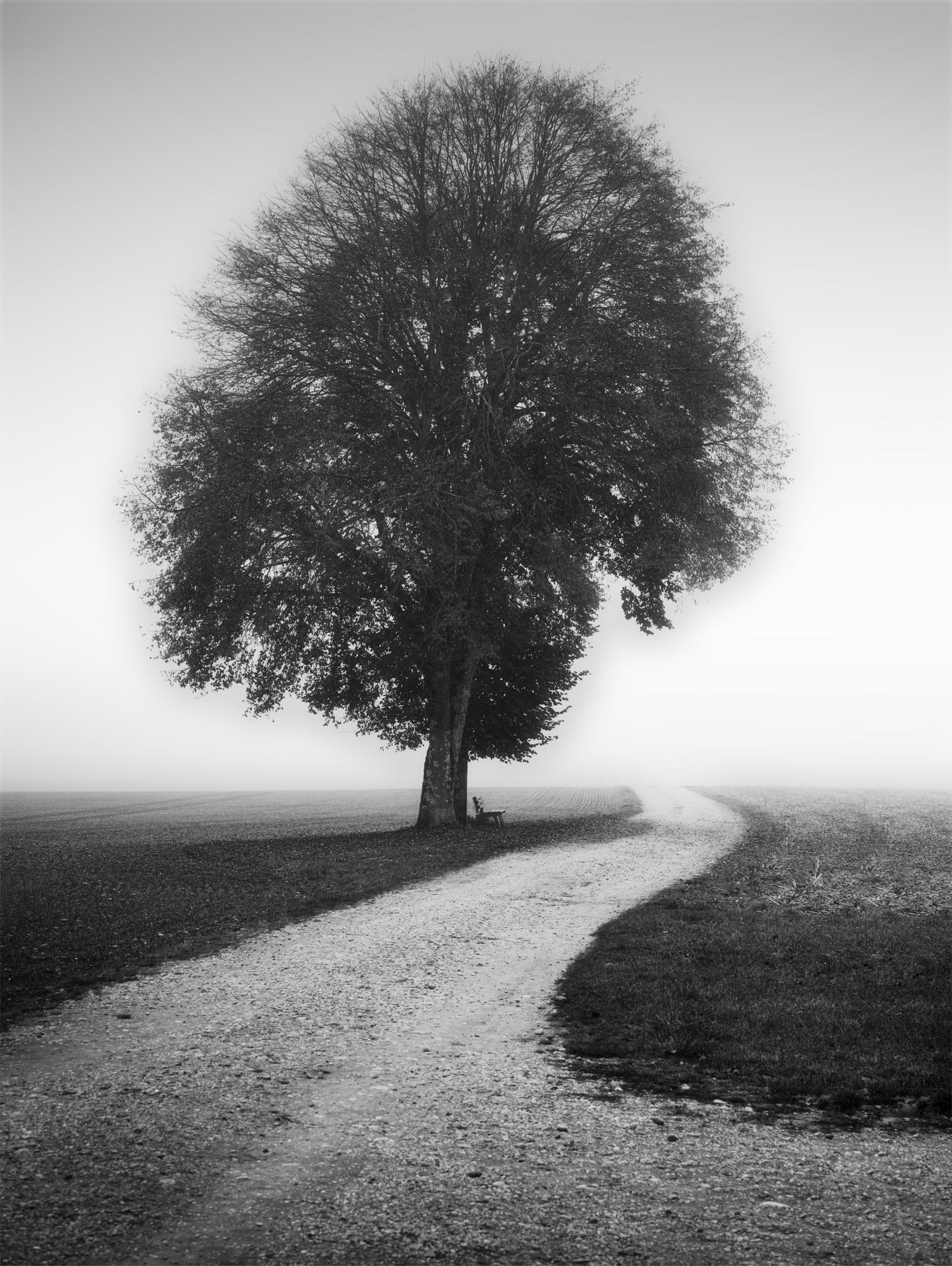 Poet by Alexej Schulz on GIANT ART - landscape lonely tree