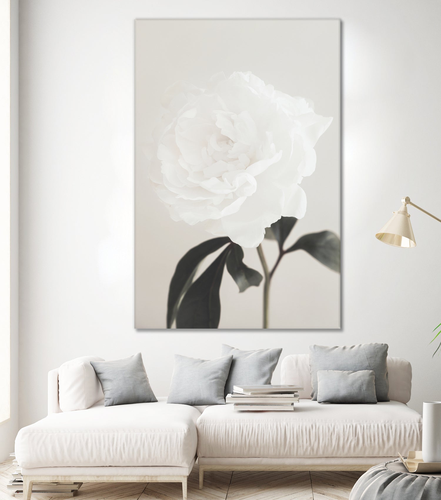 Peony 03 by Pictufy Studio III on GIANT ART - still life flower